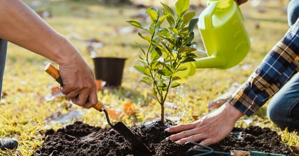 8 piccoli gesti per salvare il pianeta