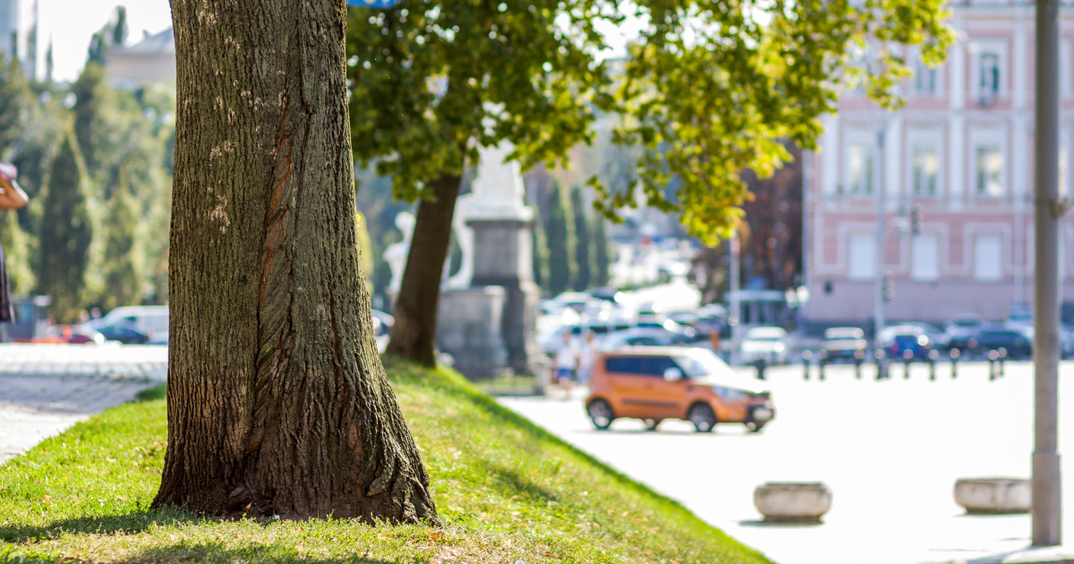 Case green cosa sono e come possiamo migliorare la nostra albero