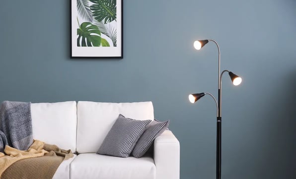 Fornitura Luce Green e Gas CO₂ compensato